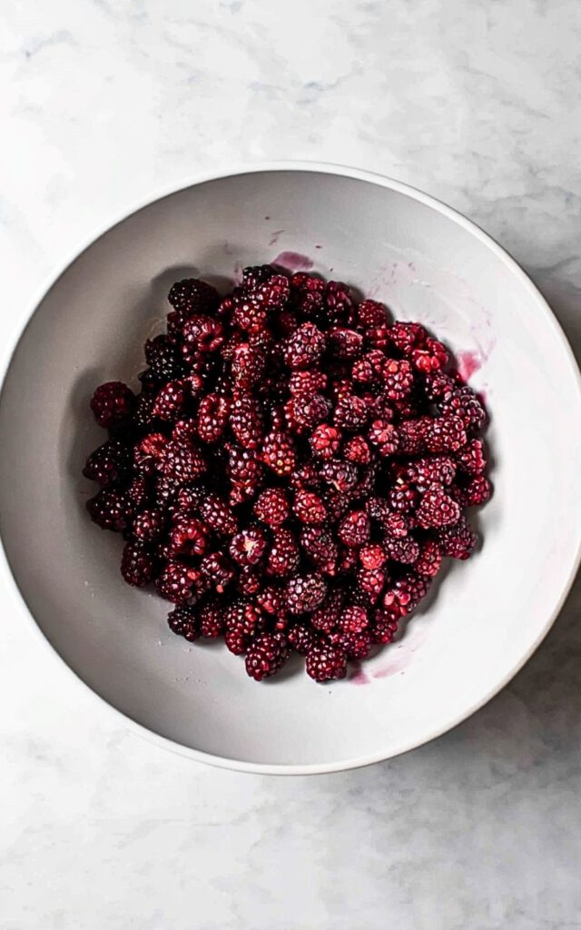 Recipes for Blackberry Crisp 4 3 15